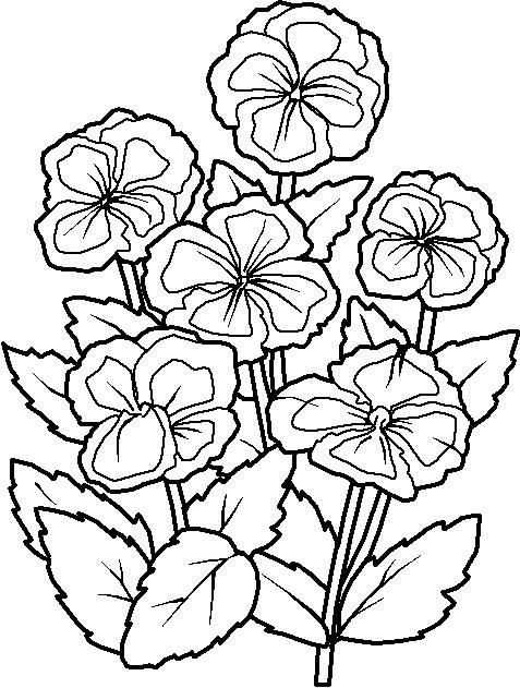 Plansa de colorat cu Primavara 120 26